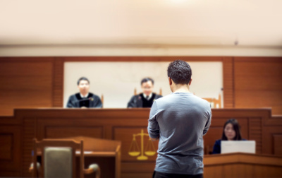 Можно ли судиться без юриста